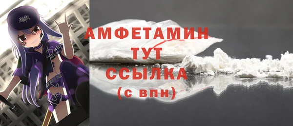 гидра Володарск