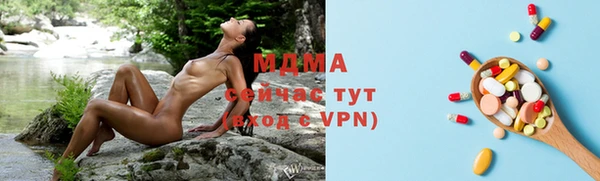 гидра Вязьма