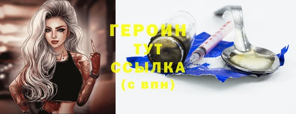 гидра Вязьма