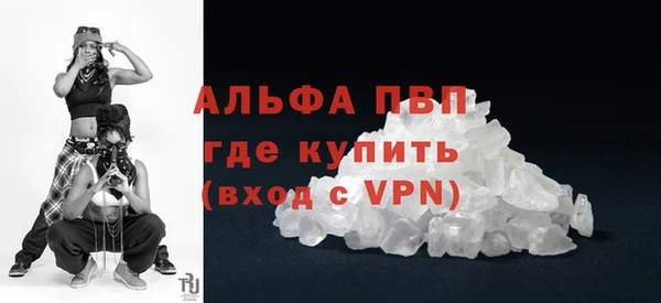 ECSTASY Вяземский