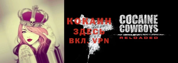 тгк Верея