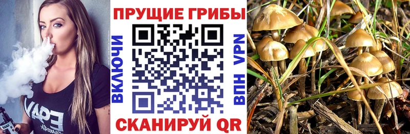 Псилоцибиновые грибы MAGIC MUSHROOMS  закладки  Заинск 